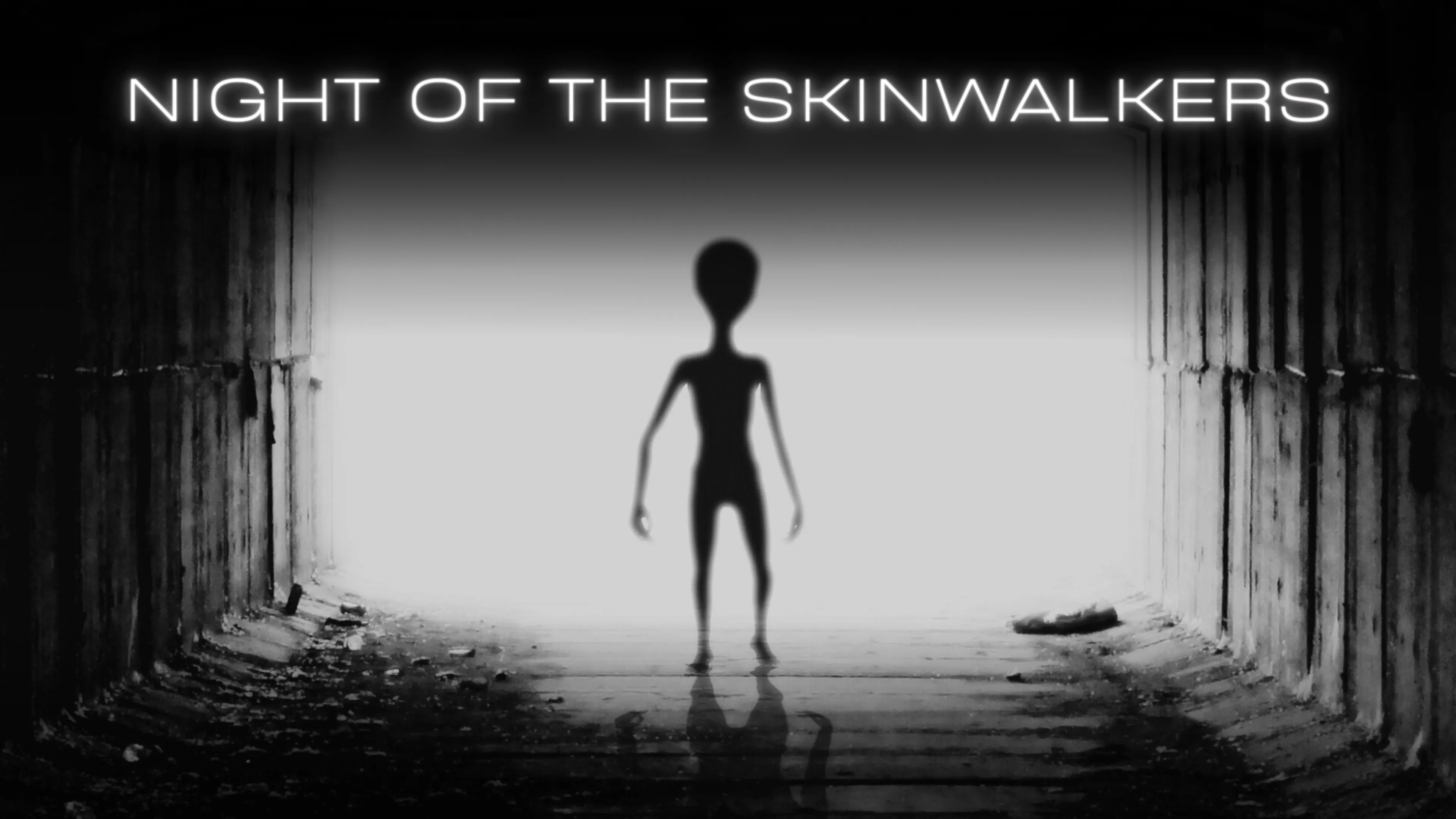 Night of the Skinwalkers poster